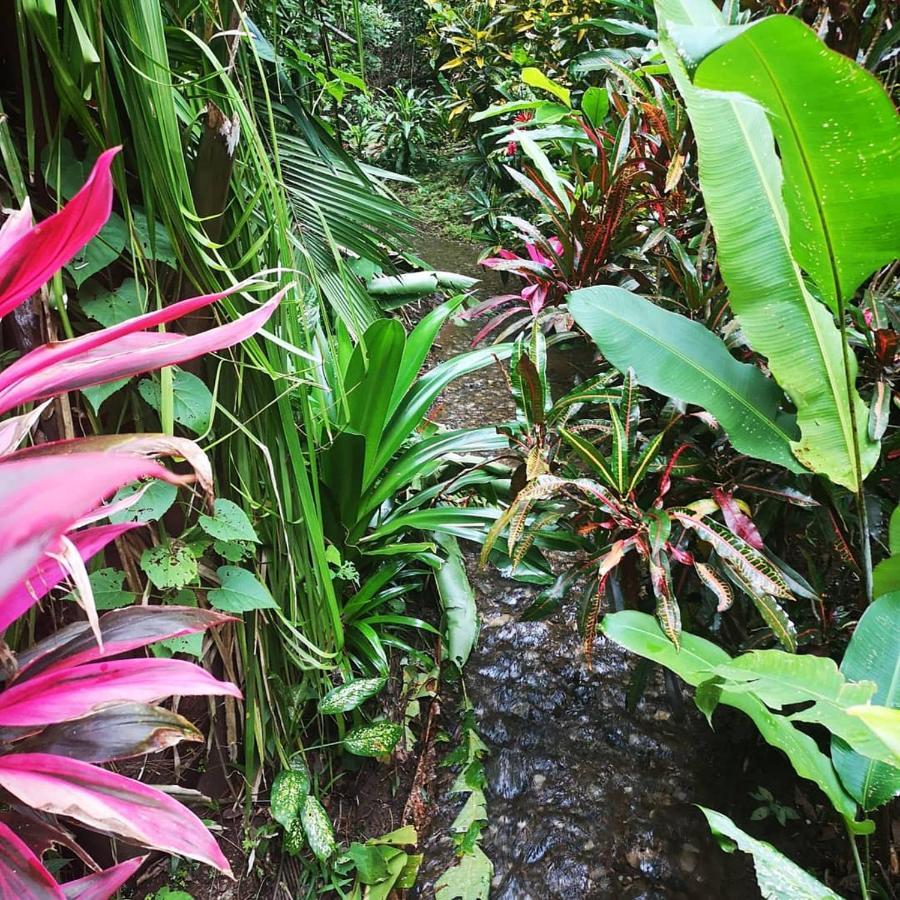 Hotel Belvedere Playa Samara Costa Rica Exterior photo